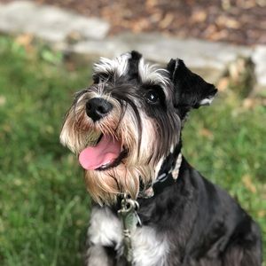 Meet your Posher, Nancy